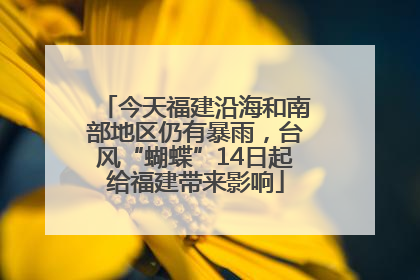 今天福建沿海和南部地区仍有暴雨，台风“蝴蝶”14日起给福建带来影响