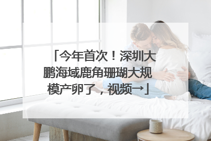 今年首次！深圳大鹏海域鹿角珊瑚大规模产卵了，视频→