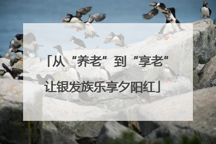 从“养老”到“享老” 让银发族乐享夕阳红