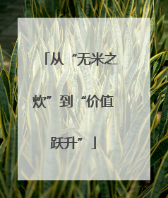 从“无米之炊”到“价值跃升”