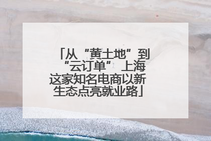 从“黄土地”到“云订单” 上海这家知名电商以新生态点亮就业路