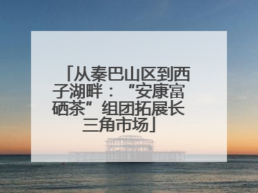 从秦巴山区到西子湖畔：“安康富硒茶”组团拓展长三角市场