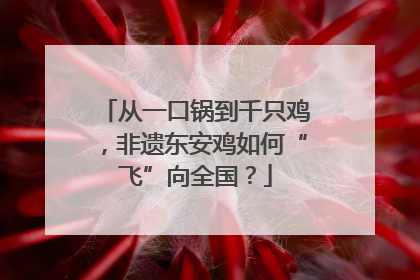 从一口锅到千只鸡，非遗东安鸡如何“飞”向全国？