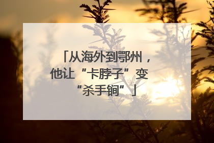 从海外到鄂州，他让“卡脖子”变“杀手锏”