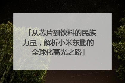 从芯片到饮料的民族力量，解析小米东鹏的全球化高光之路