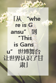 从 “where is Gansu” 到 “This is Gansu” 世博舞台让世界认识了甘肃