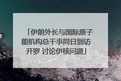 伊朗外长与国际原子能机构总干事同日到访开罗 讨论伊核问题