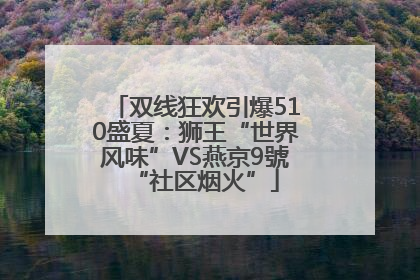 双线狂欢引爆510盛夏：狮王“世界风味”VS燕京9號“社区烟火”