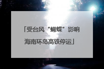 受台风“蝴蝶”影响 海南环岛高铁停运