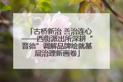 古桥新治 善治连心——西街派出所深耕“晋德”调解品牌绘就基层治理新画卷
