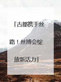 古都携手丝路！丝博会绽放新活力