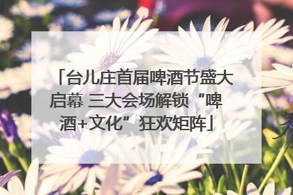 台儿庄首届啤酒节盛大启幕 三大会场解锁“啤酒+文化”狂欢矩阵