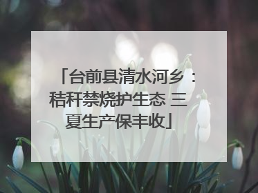 台前县清水河乡：秸秆禁烧护生态 三夏生产保丰收