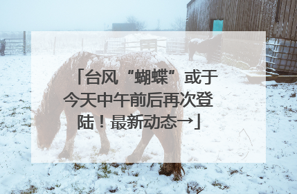 台风“蝴蝶”或于今天中午前后再次登陆！最新动态→