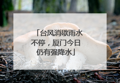 台风消歇雨水不停，厦门今日仍有强降水