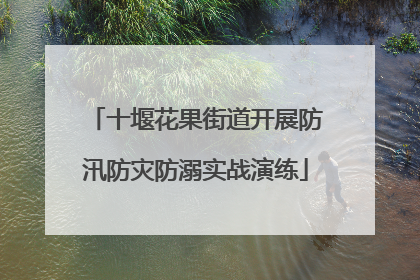 十堰花果街道开展防汛防灾防溺实战演练