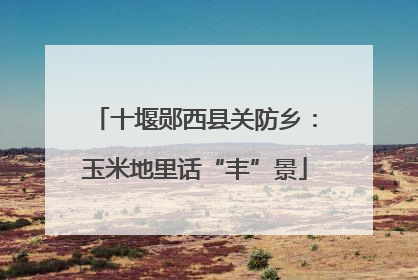 十堰郧西县关防乡：玉米地里话“丰”景