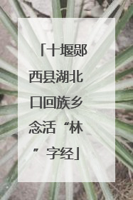 十堰郧西县湖北口回族乡念活“林”字经