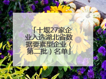 十堰27家企业入选湖北省数据要素型企业（第二批）名单