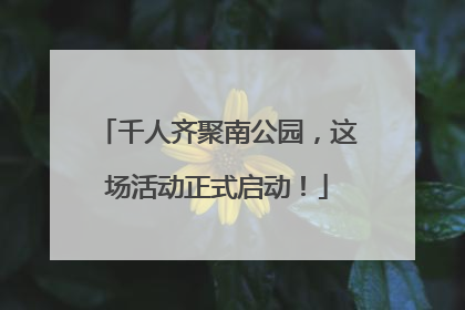 千人齐聚南公园，这场活动正式启动！