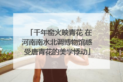 千年窑火映青花 在河南南水北调博物馆感受唐青花的美学悸动
