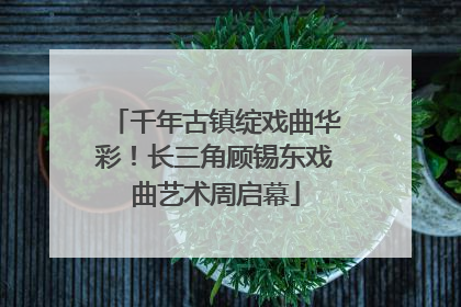 千年古镇绽戏曲华彩！长三角顾锡东戏曲艺术周启幕