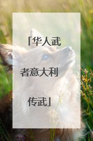 华人武者意大利传武