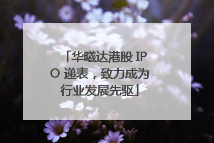 华曦达港股 IPO 递表，致力成为行业发展先驱