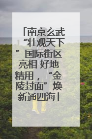 南京玄武“壮观天下”国际街区亮相 好地精用，“金陵封面”焕新通四海