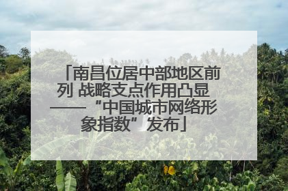 南昌位居中部地区前列 战略支点作用凸显——“中国城市网络形象指数”发布