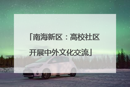 南海新区：高校社区开展中外文化交流