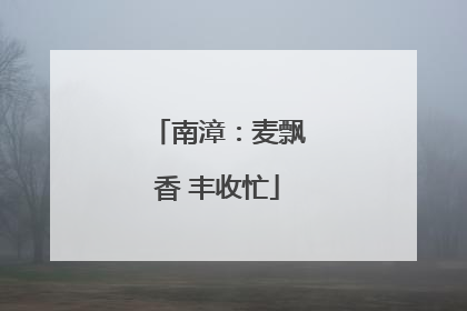 南漳：麦飘香 丰收忙