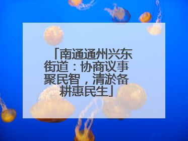 南通通州兴东街道：协商议事聚民智，清淤备耕惠民生