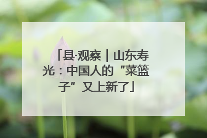 县·观察｜山东寿光：中国人的“菜篮子”又上新了