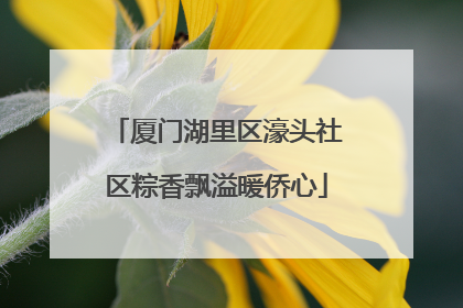 厦门湖里区濠头社区粽香飘溢暖侨心