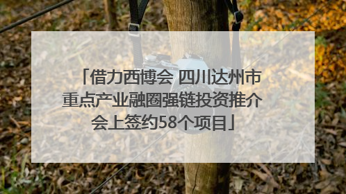 借力西博会 四川达州市重点产业融圈强链投资推介会上签约58个项目