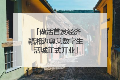 做活首发经济 赣湘边奥莱数字生活城正式开业