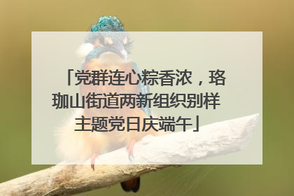 党群连心粽香浓，珞珈山街道两新组织别样主题党日庆端午