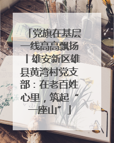 党旗在基层一线高高飘扬丨雄安新区雄县黄湾村党支部：在老百姓心里，筑起“一座山”