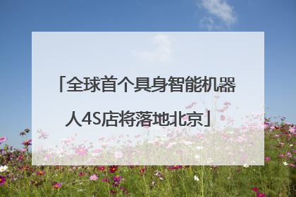 全球首个具身智能机器人4S店将落地北京