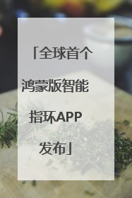 全球首个鸿蒙版智能指环APP发布