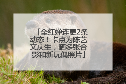 全红婵连更2条动态！卡点为陈艺文庆生，晒多张合影和新玩偶照片