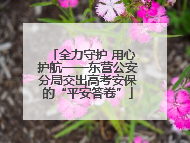 全力守护 用心护航——东营公安分局交出高考安保的“平安答卷”