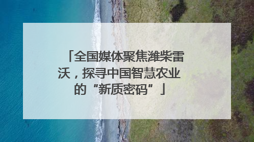 全国媒体聚焦潍柴雷沃，探寻中国智慧农业的“新质密码”