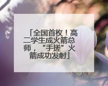 全国首枚！高二学生成火箭总师，“手搓”火箭成功发射