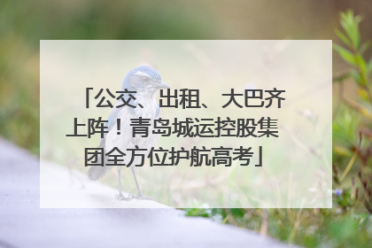 公交、出租、大巴齐上阵！青岛城运控股集团全方位护航高考