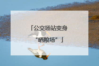 公交场站变身“晒粮场”