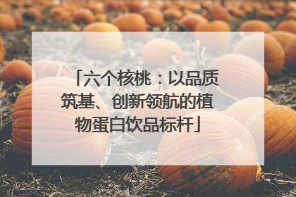 六个核桃：以品质筑基、创新领航的植物蛋白饮品标杆