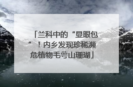 兰科中的“显眼包”！内乡发现珍稀濒危植物毛萼山珊瑚