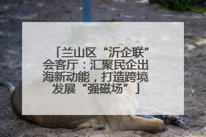 兰山区“沂企联”会客厅：汇聚民企出海新动能，打造跨境发展“强磁场”